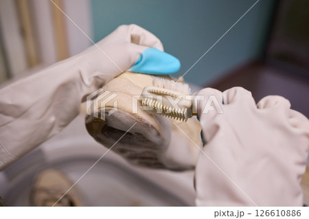 Cleaning Sneakers A Comprehensive Step-by-step Maintenance Guide for Optimal Care 126610886