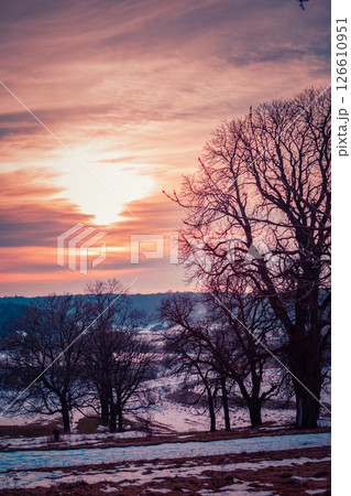 Beautiful Sunset Over Winter Landscape With Bare Trees and Pastel Sky Hues. 126610951