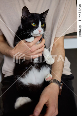 Enjoying some relaxing moments with cat massage therapy can bring great joy and comfort 126611236
