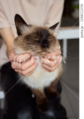 Enjoying some relaxing moments with cat massage therapy can bring great joy and comfort Enjoying some relaxing moments with cat massage therapy can bring great joy and comfort 126611239
