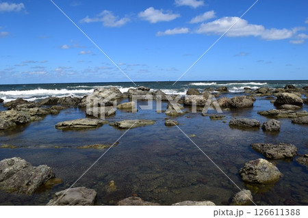 奇岩怪石の磯が続く 庄内海岸の岩場風景 126611388