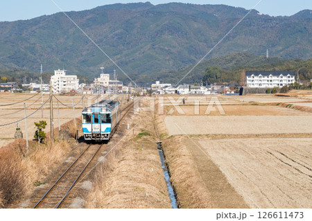 【牟岐線】田畑の真ん中を駆け抜ける特急列車 126611473