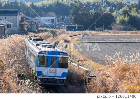 【牟岐線】田畑の真ん中を駆け抜ける特急列車 126611480