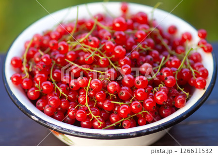 Ripe red currant berries in a cup. Ripe red currant berries in a cup. 126611532