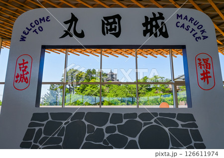 丸岡城の撮影スポット 福井県坂井市 丸岡城の撮影スポット 福井県坂井市 126611974