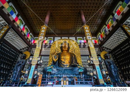 大仏殿の室内風景 福井県勝山市 126612099