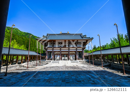 越前大仏の中門と回廊 福井県勝山市 越前大仏の中門と回廊 福井県勝山市 126612111