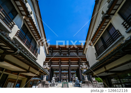 越前大仏の大門 福井県勝山市 126612116