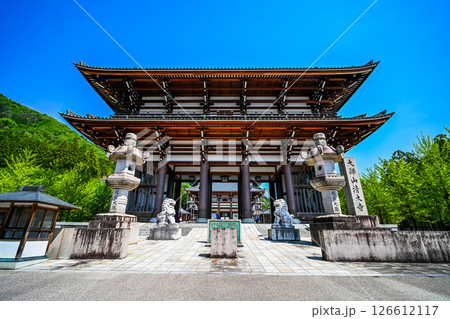 越前大仏の大門 福井県勝山市 126612117