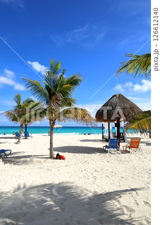 中米メキシコのリゾート地カンクンのドルフィンビーチ 126612140