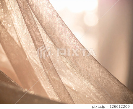 Sheer Fabric Drapes 126612209