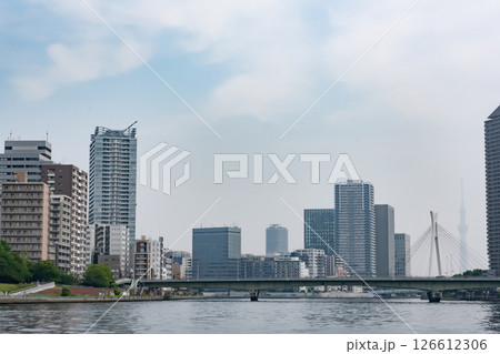 隅田川テラスから佃大橋方面を見た風景 隅田川テラスから佃大橋方面を見た風景 126612306