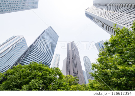 高層ビルを見上げる新緑のオフィス街の風景 126612354