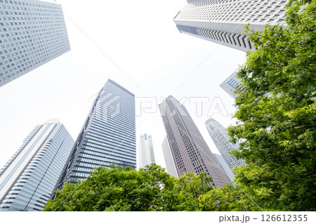 高層ビルを見上げる新緑のオフィス街の風景 126612355