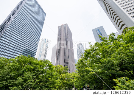 高層ビルを見上げる新緑のオフィス街の風景 高層ビルを見上げる新緑のオフィス街の風景 126612359