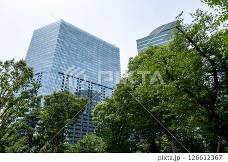 高層ビルを見上げる新緑のオフィス街の風景 高層ビルを見上げる新緑のオフィス街の風景 126612367