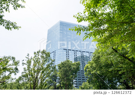高層ビルを見上げる新緑のオフィス街の風景 高層ビルを見上げる新緑のオフィス街の風景 126612372