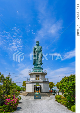 青空と長浜びわこ大仏 滋賀県長浜市 126612644
