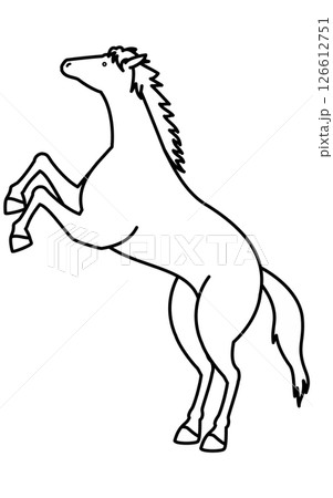 立ち上がる馬のシンプルな線画、白黒のベクターイラスト 立ち上がる馬のシンプルな線画、白黒のベクターイラスト 126612751