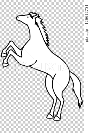 立ち上がる馬のシンプルな線画、白黒のベクターイラスト 立ち上がる馬のシンプルな線画、白黒のベクターイラスト 126612751