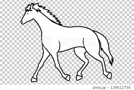 Simple line drawing of a walking horse, black and white vector illustration Simple line drawing of a walking horse, black and white vector illustration 126612756