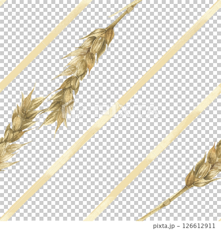Golden wheat watercolor seamless pattern with beige abstract lines background. Hand drawn field floral elements, dry rye repeated clipart for kitchen textile, fabric design 126612911