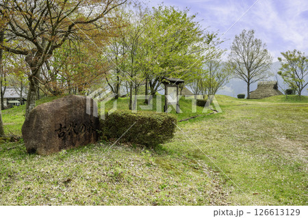 蒜山　蒜山郷土博物館　古代の森　岡山県真庭市 126613129
