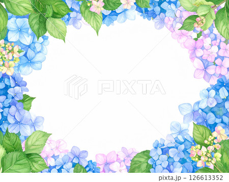 紫陽花　コピースペース 126613352