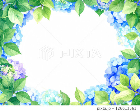 紫陽花　コピースペース 126613363
