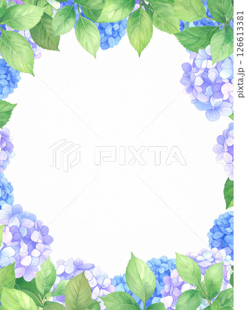 紫陽花　コピースペース 126613381