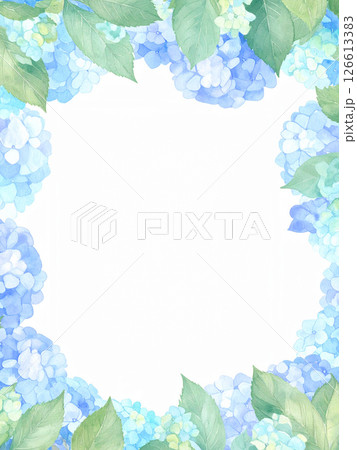 紫陽花　コピースペース 126613383