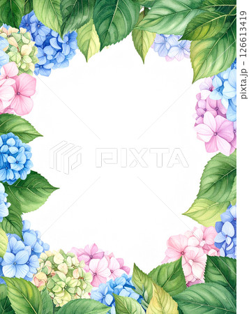 紫陽花　コピースペース 126613419