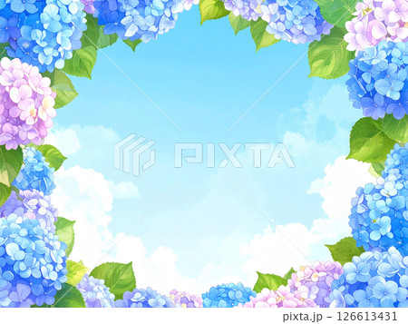 紫陽花 青空 コピースペース 紫陽花 青空 コピースペース 126613431
