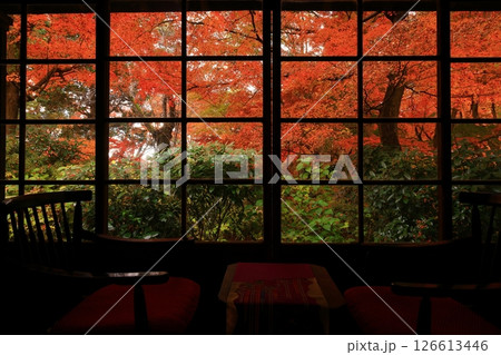 紅葉の一ノ倉邸 126613446