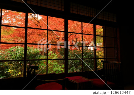 紅葉の一ノ倉邸 126613447