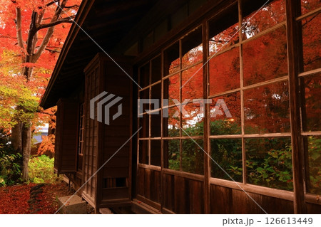 紅葉の一ノ倉邸 126613449