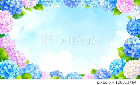 紫陽花　青空　コピースペース 126613464