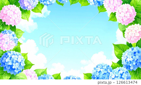 紫陽花 青空 コピースペース 紫陽花 青空 コピースペース 126613474