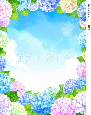 紫陽花 青空 コピースペース 紫陽花 青空 コピースペース 126613476