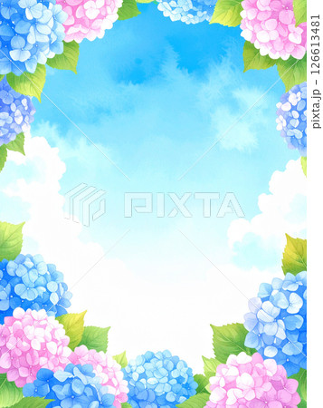 紫陽花　青空　コピースペース 126613481