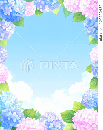 紫陽花　青空　コピースペース 126613482