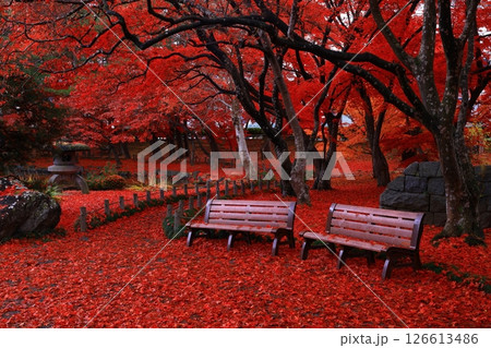 岩手県盛岡市　紅葉の風景 126613486