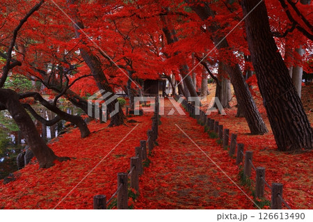 岩手県盛岡市　紅葉の風景 126613490