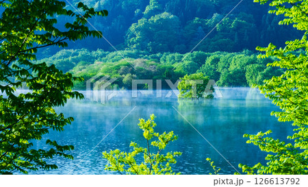 白川湖の水没林 126613792