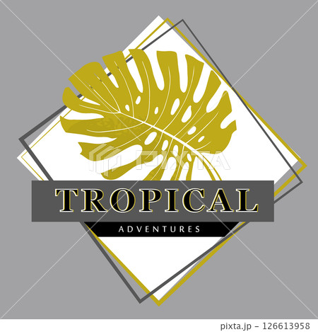 tropical poster with monstera leaf in rhombus and inscription tropical adventures in monochrome 126613958