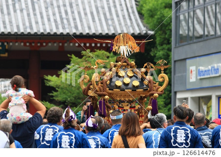 浅草三社祭の神輿 浅草三社祭の神輿 126614476