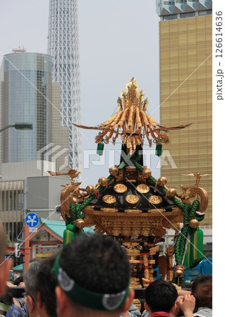 浅草を練り歩く三社祭の神輿 126614636