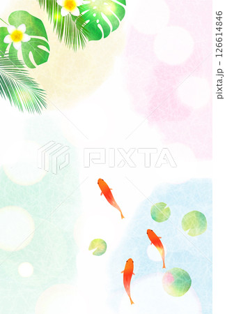 金魚　夏　水彩　和柄　背景 126614846