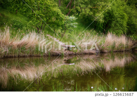 Serene Natural Landscape with Wooden Footbridge and Reflective Pond 126615687
