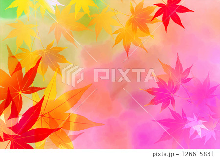 紅葉 もみじ 秋 背景 紅葉 もみじ 秋 背景 126615831